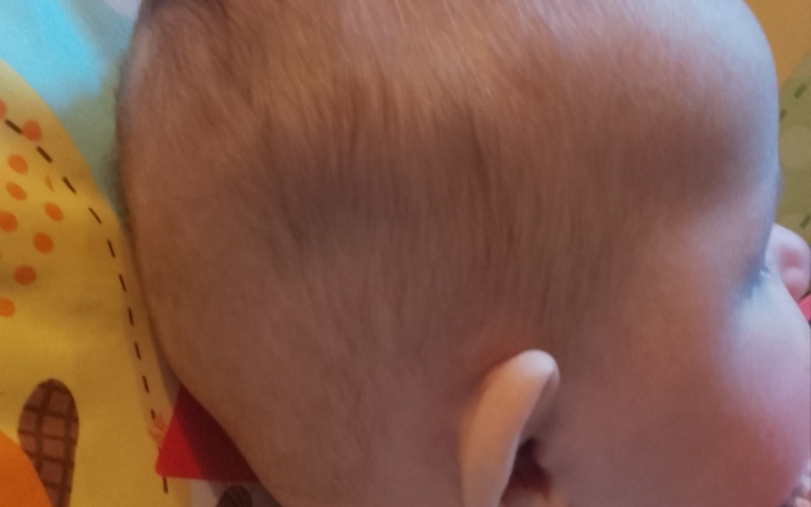 Zbiórka Maja Kałkowska - zdjęcie główne