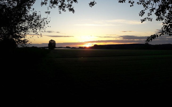 Zbiórka Na operację kolana mojego taty - zdjęcie główne