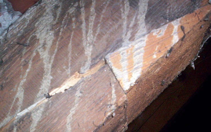 Zbiórka Remont dachu po zimie - zdjęcie główne