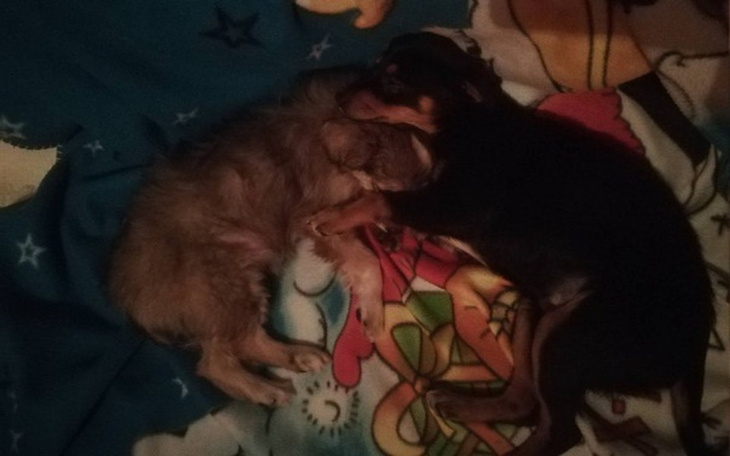 Zbiórka Tacy byliśmy szczęśliwi... - zdjęcie główne