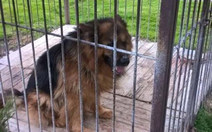 Zbiórka Dziękujemy. Zbiórka zakończona - zdjęcie główne