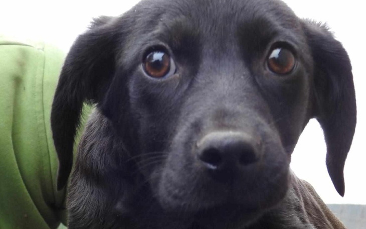 Zbiórka Czarne mają szczęście-trabsport - zdjęcie główne