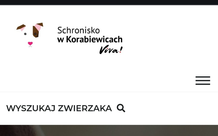 Zbiórka Na WWW - zdjęcie główne