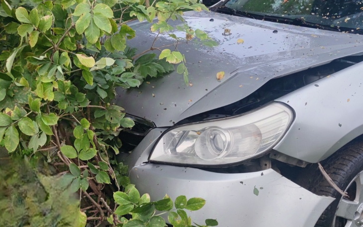 Uszkodzony samochód w zaroślach, z widocznymi śladami kolizji.