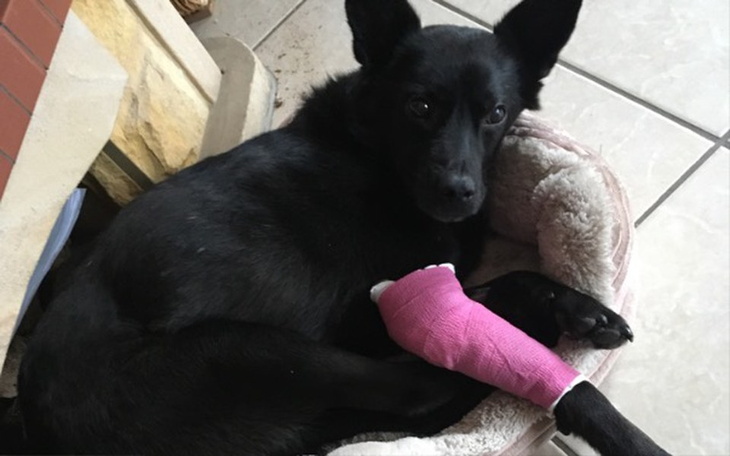 Zbiórka Bakterie zjadają mu kręgosłup... - zdjęcie główne