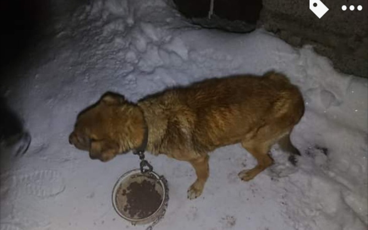 Zbiórka Na godną starość Scoobiego - zdjęcie główne