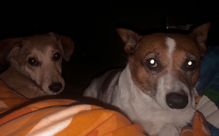 Zbiórka Na życie leki,jedzenie itp - zdjęcie główne