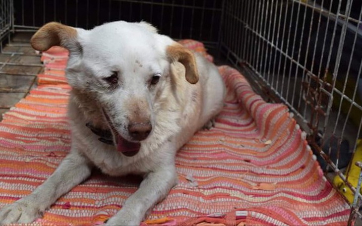 Zbiórka dla Alberta - zdjęcie główne