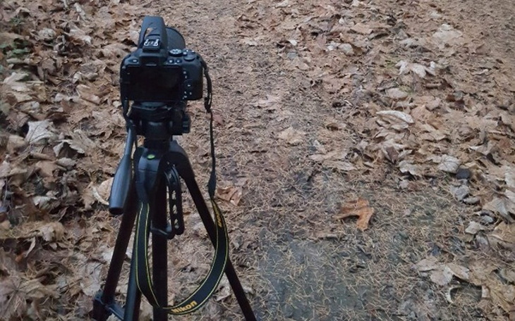 Zbiórka Zbiórka na kurs Fotograficzny - zdjęcie główne