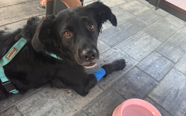 Zbiórka Pomóżmy Lucjanowi stanąć na nogi - zdjęcie główne