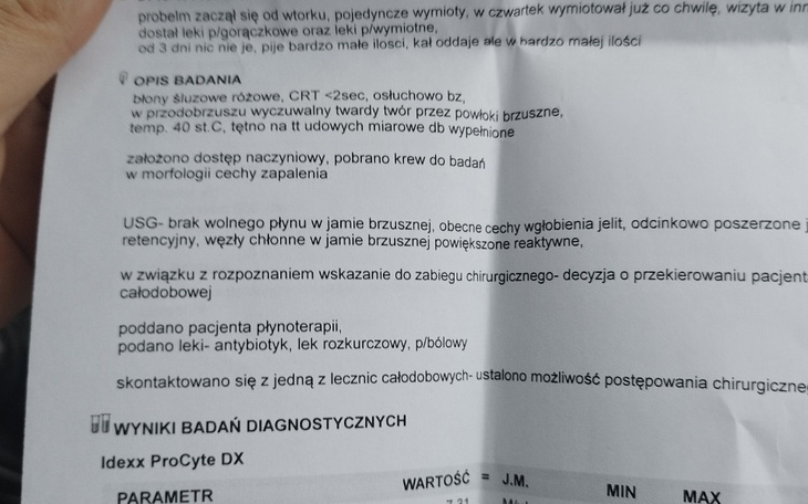 Zbiórka Nagła operacja lub eutanazja - zdjęcie główne