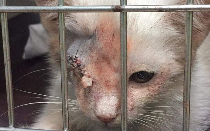 Zbiórka 7 tygodni - Edi żyje w ciemności - zdjęcie główne