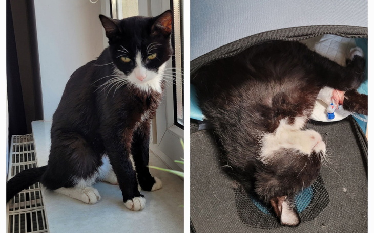 Zbiórka Na ratunek Pandiemu - zdjęcie główne