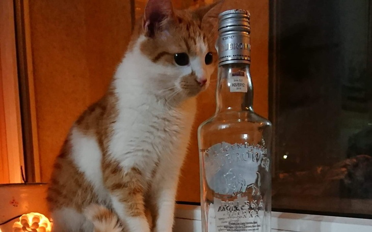 Zbiórka Na wszywkę Esperal - zdjęcie główne