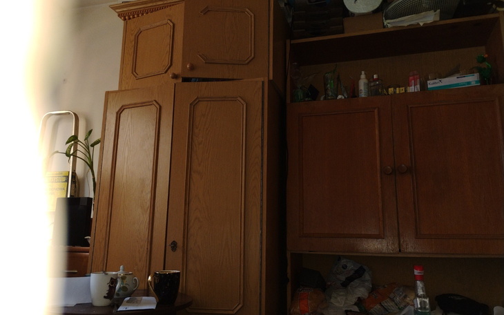 Wnętrze mieszkania z drewnianymi szafkami i rośliną.