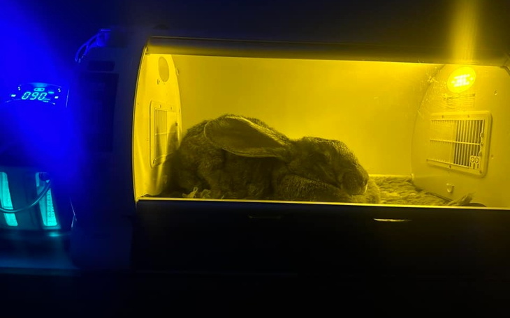 Zbiórka Na lampy bakteriobójcze - zdjęcie główne