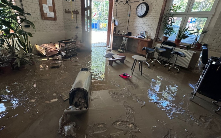 Zbiórka Remont salonu fryzjerskiego Nysa - zdjęcie główne