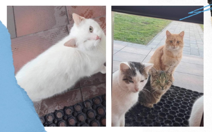 Zbiórka By juz nigdy nie zaznac glodu - zdjęcie główne