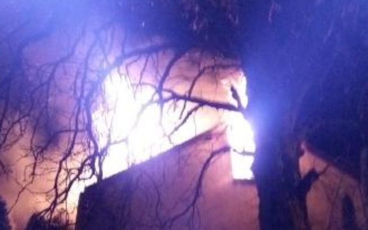 Zbiórka Pogorzelcy z hodowlą chartów - zdjęcie główne