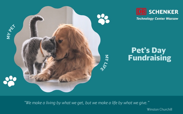 Zbiórka Support for pets in Korabiewice - zdjęcie główne