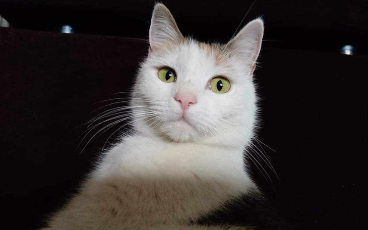 Zbiórka Zdążyć z pomocą dla Kai - zdjęcie główne