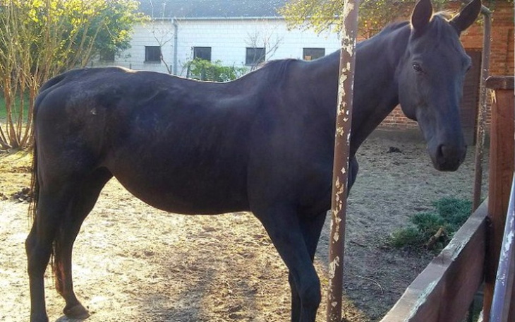 Zbiórka Pomóż uratować Walencję - zdjęcie główne