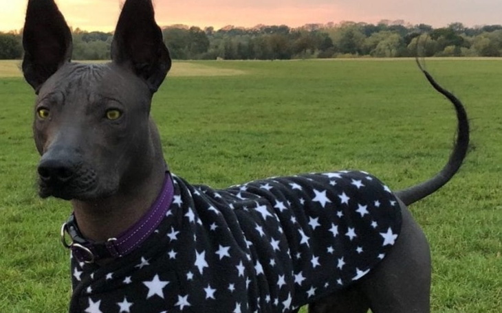 Zbiórka Na największe marzenie. - zdjęcie główne