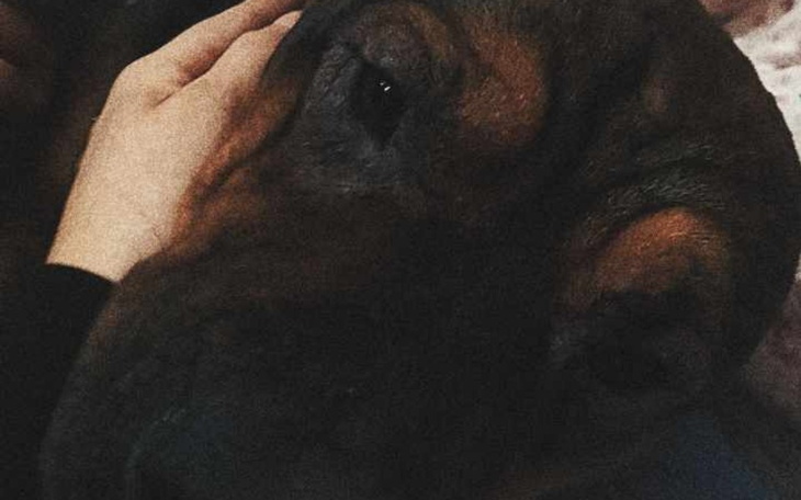 Zbiórka Start studia prawo jazdy - zdjęcie główne