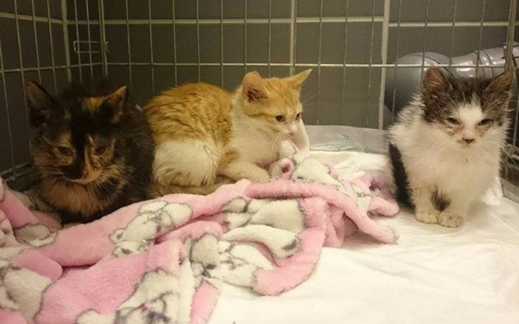 Zbiórka 3,2,1...śmierć!! - zdjęcie główne