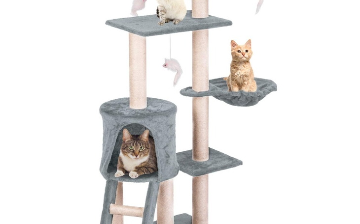 Zbiórka Zbiurka na dom dla kotów - zdjęcie główne