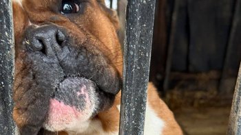 Zbiórka AB interwencja - miniaturka zdjęcia