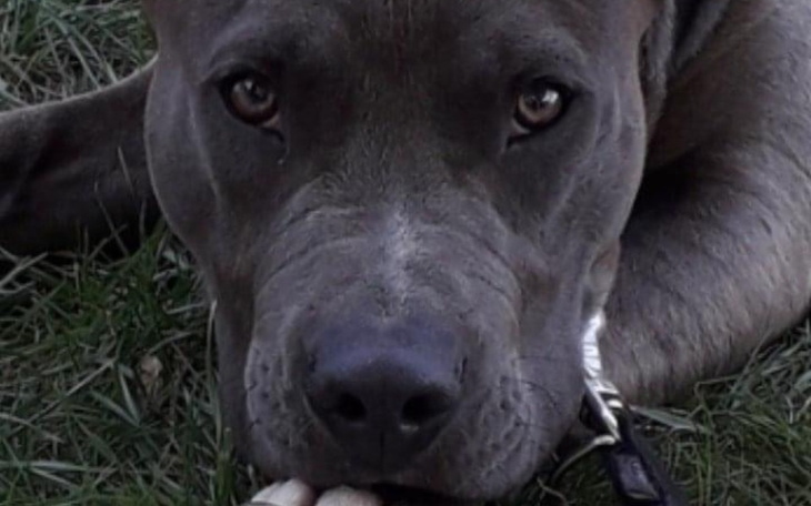 Zbiórka Pomoc w operacji kregloslupa - zdjęcie główne