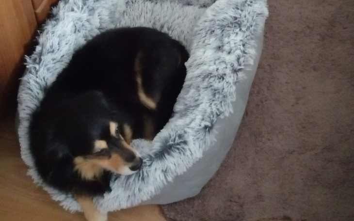 Zbiórka Potrzebuję pomocy. please. - zdjęcie główne