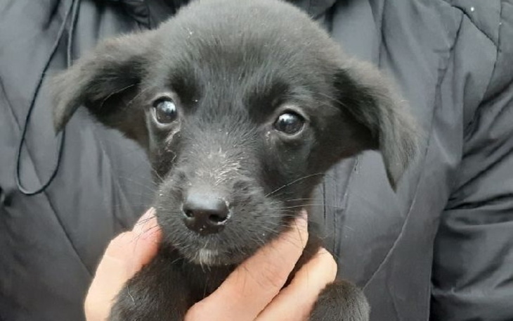 Zbiórka Maluchy pilnie potrzebują pomocy - zdjęcie główne