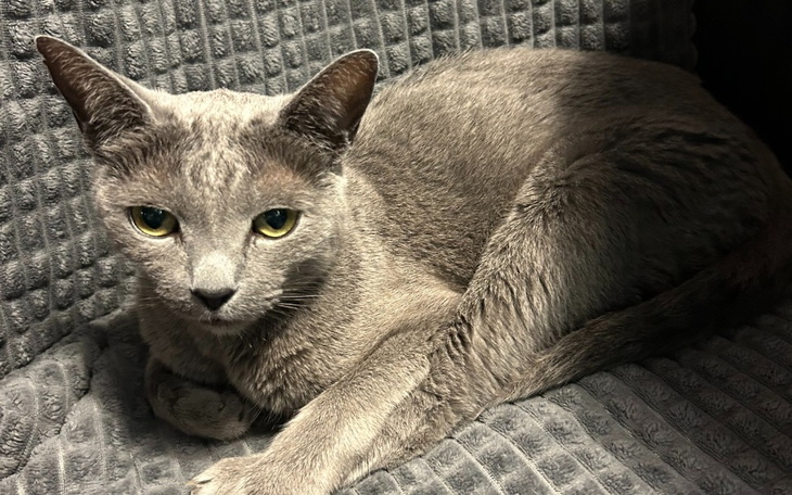 Zbiórka Eden potrzebuje pomocy - zdjęcie główne