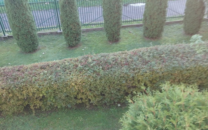 Zbiórka Na spełnienie marzeń i wakacje - zdjęcie główne