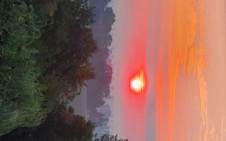 Zbiórka Opłaty i żywoność - zdjęcie główne