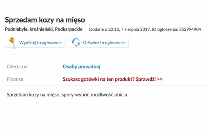 Zbiórka Kozy z maluszkami na mięso - zdjęcie główne