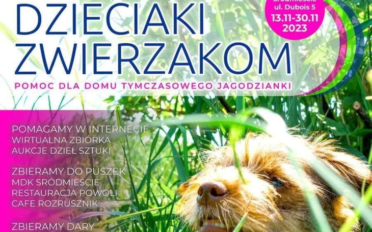 Zbiórka Dzieciaki Zwierzakom - VI edycja - zdjęcie główne