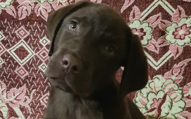 Zbiórka Zbiórka na zabieg Fidusia - zdjęcie główne