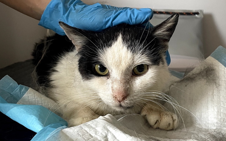 Pusty biały ekran, symbolizujący brak treści.