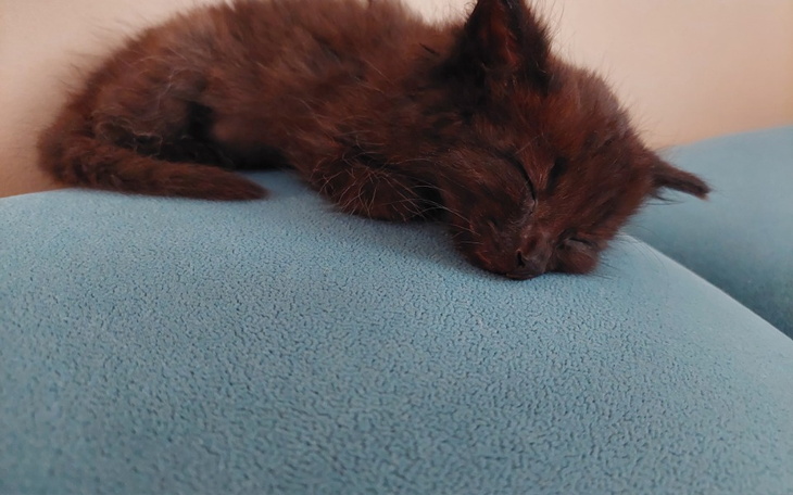 Zbiórka Pomóż ,chce żyć - zdjęcie główne