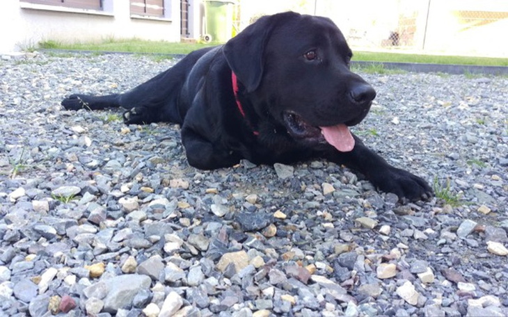 Zbiórka Pomoc dla Maratka - zdjęcie główne