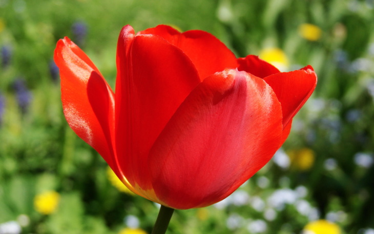 Zbiórka Pomóżmy seniorce godnie mieszkać - zdjęcie główne