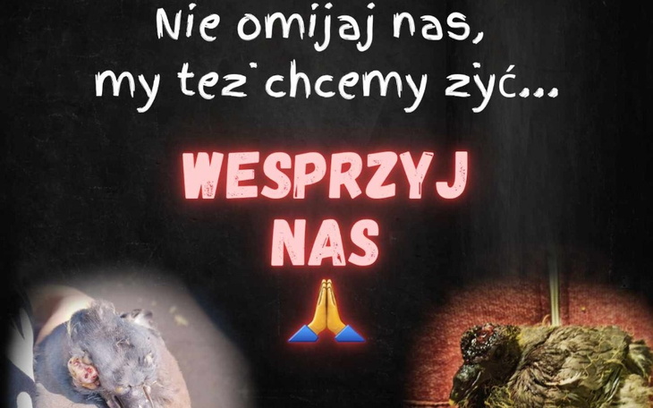 Plakat z prośbą o wsparcie dla potrzebujących zwierząt.