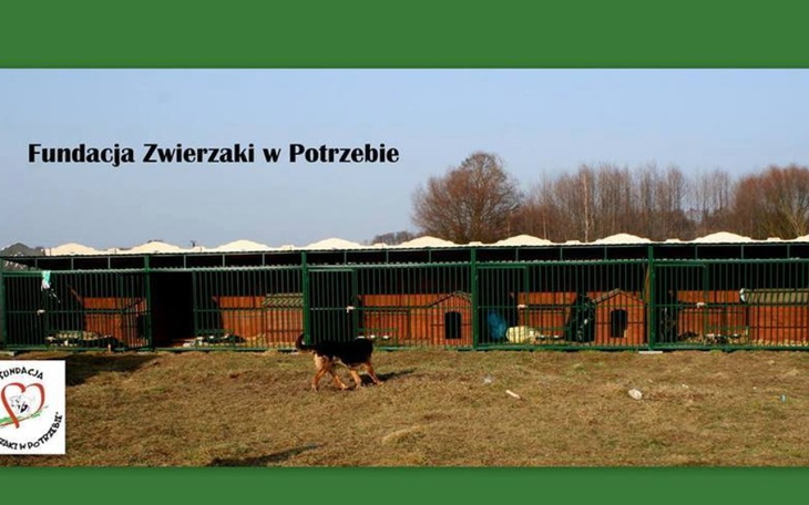 Zbiórka Renowacja fundacyjnego ośrodka - zdjęcie główne