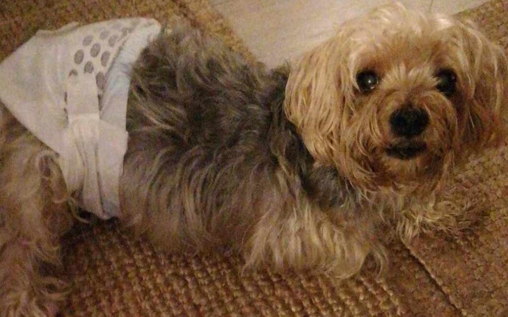 Zbiórka Operacja Yokusia - zdjęcie główne