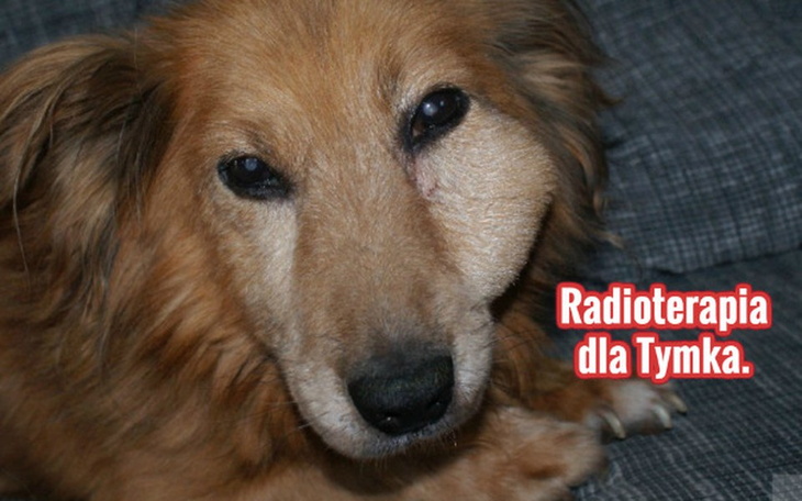 Zbiórka Radioterapia dla Tymka. - zdjęcie główne