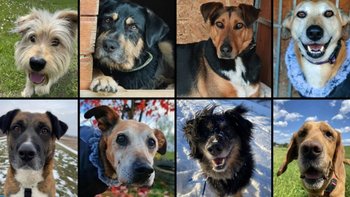 Zbiórka Nowy rok, stare niepokoje. - miniaturka zdjęcia