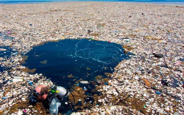 Akcja na rzecz ratowania zwierząt, które potrzebują pilnej pomocy.